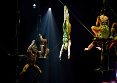 Le Cirque Du Soleil « Ovo »
