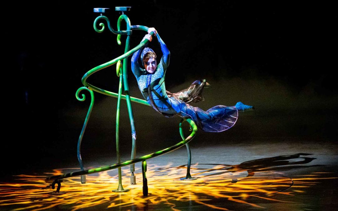 Le Cirque Du Soleil « Ovo »