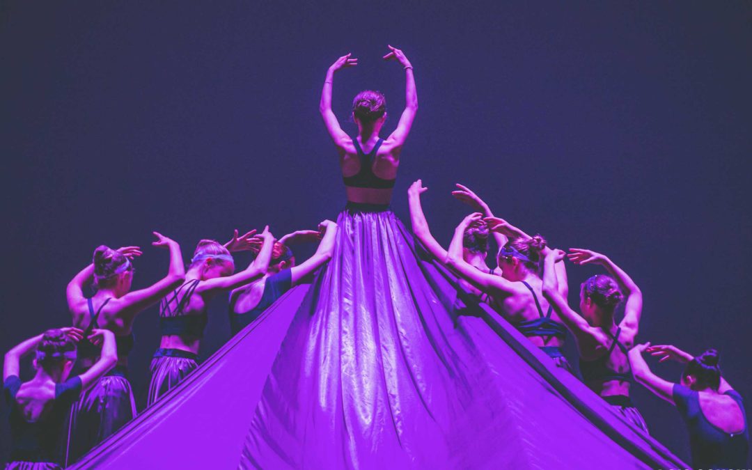 Danse, Studio Tilt violet